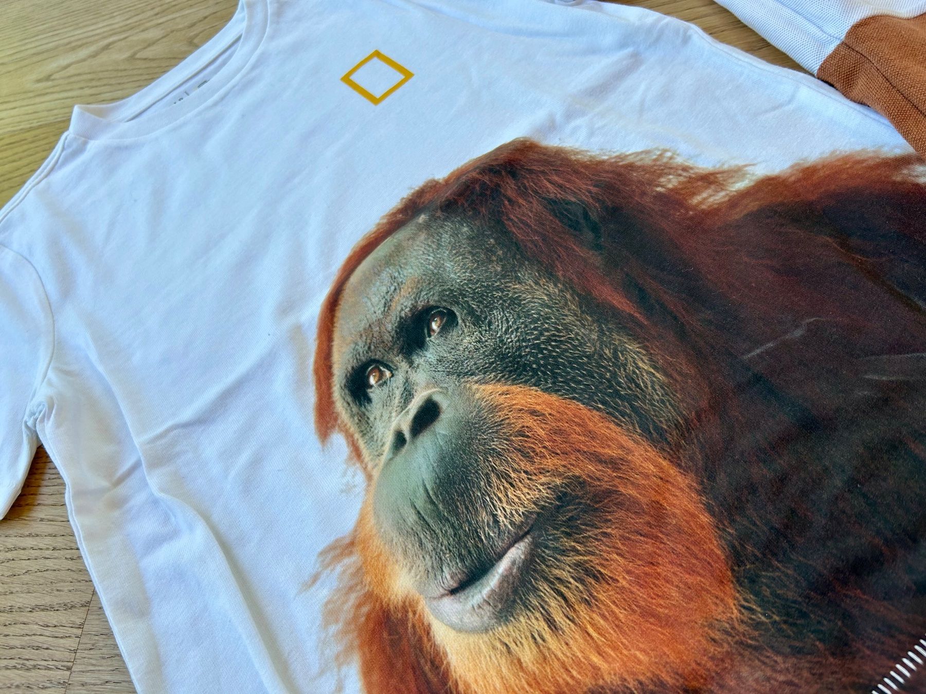 Hemden, T-Shirts & Polos: T- Shirts Gr. 128/134 – Neu (gemäss Beschreibung) aus Rothrist von szc_9dg5 2