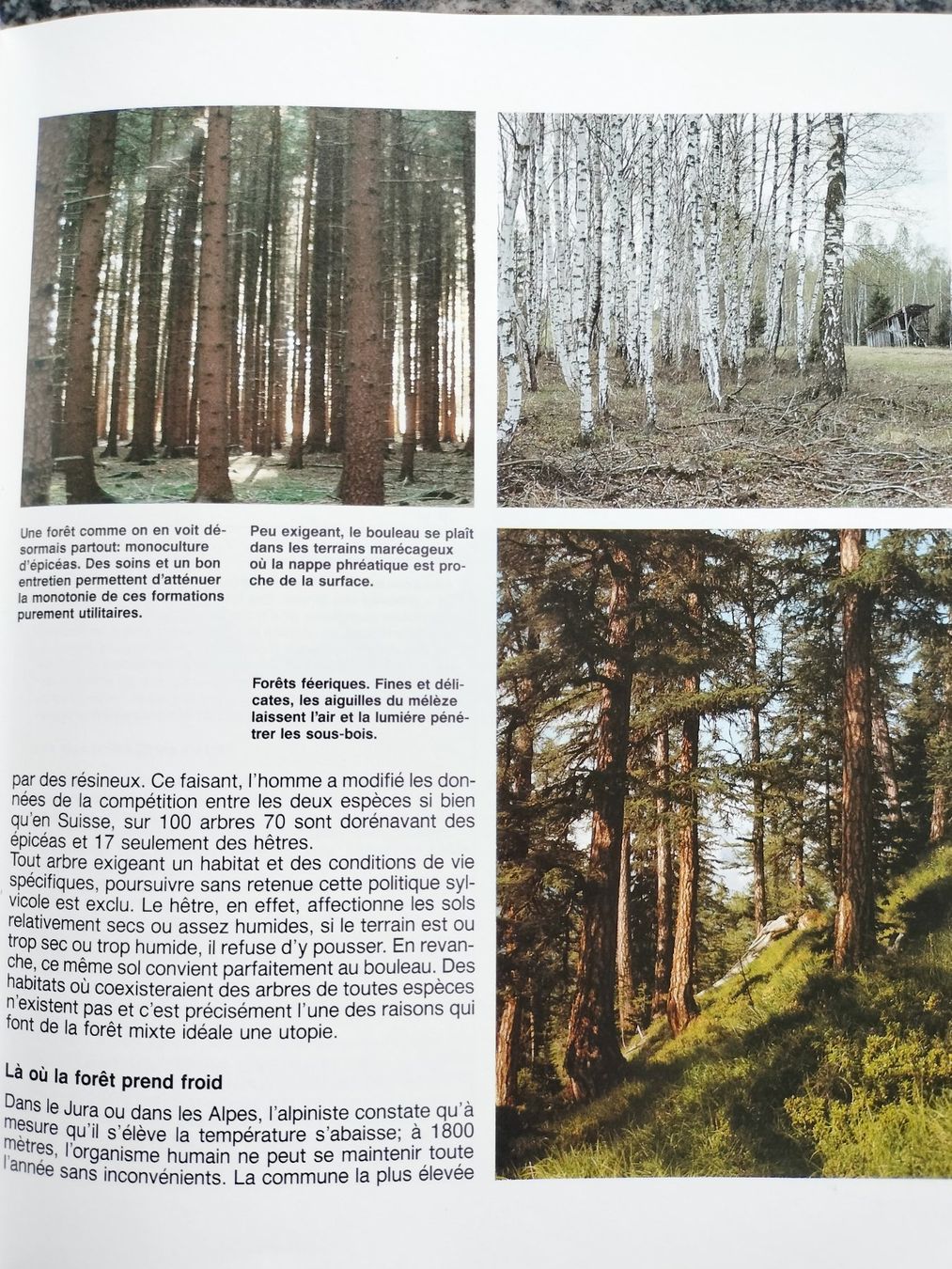Libri: LA FORÊT Découvrez la forêt avec Silva – Usato da Cortaillod venduto da rozinna 3