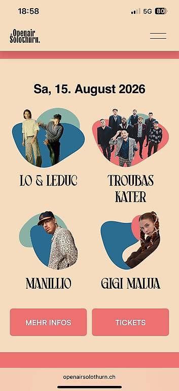 Tickets: 2 Tickets Openair Solothurn 15.8.26 – Neu (gemäss Beschreibung) aus Langenthal von niedekar