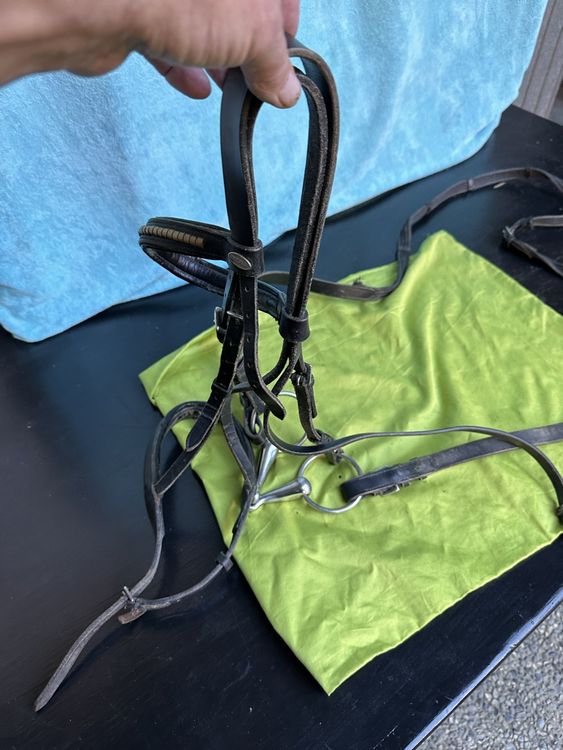 Sans mors, Hackamore et plus : Guide du cavalier pour choisir la bri