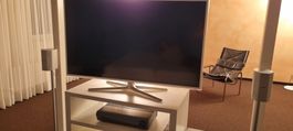 Samsung Fernseher (50 Zoll)