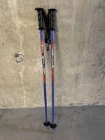 Skistöcke (90cm)