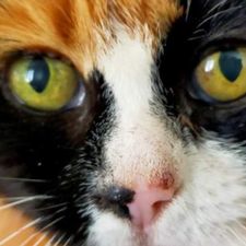 Profile image of oun