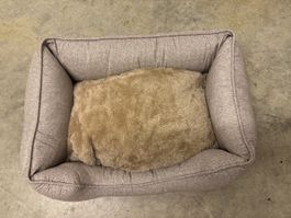 Hundebett/ Katzenbett mit Kissen guter Zustand