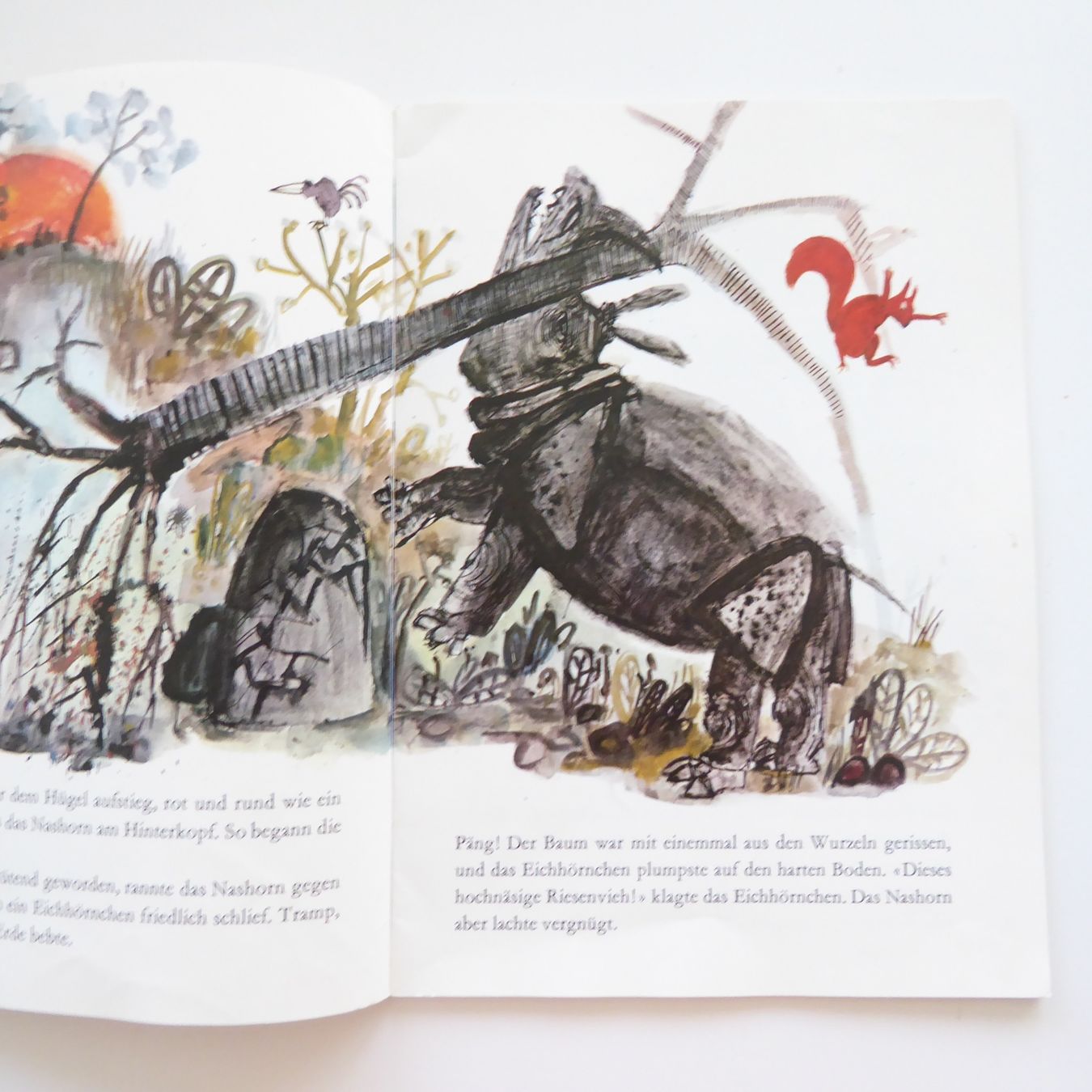 Libri: Das Eichhorn und das Nashörnchen – Usato da Basel venduto da Kunterbunt12 1