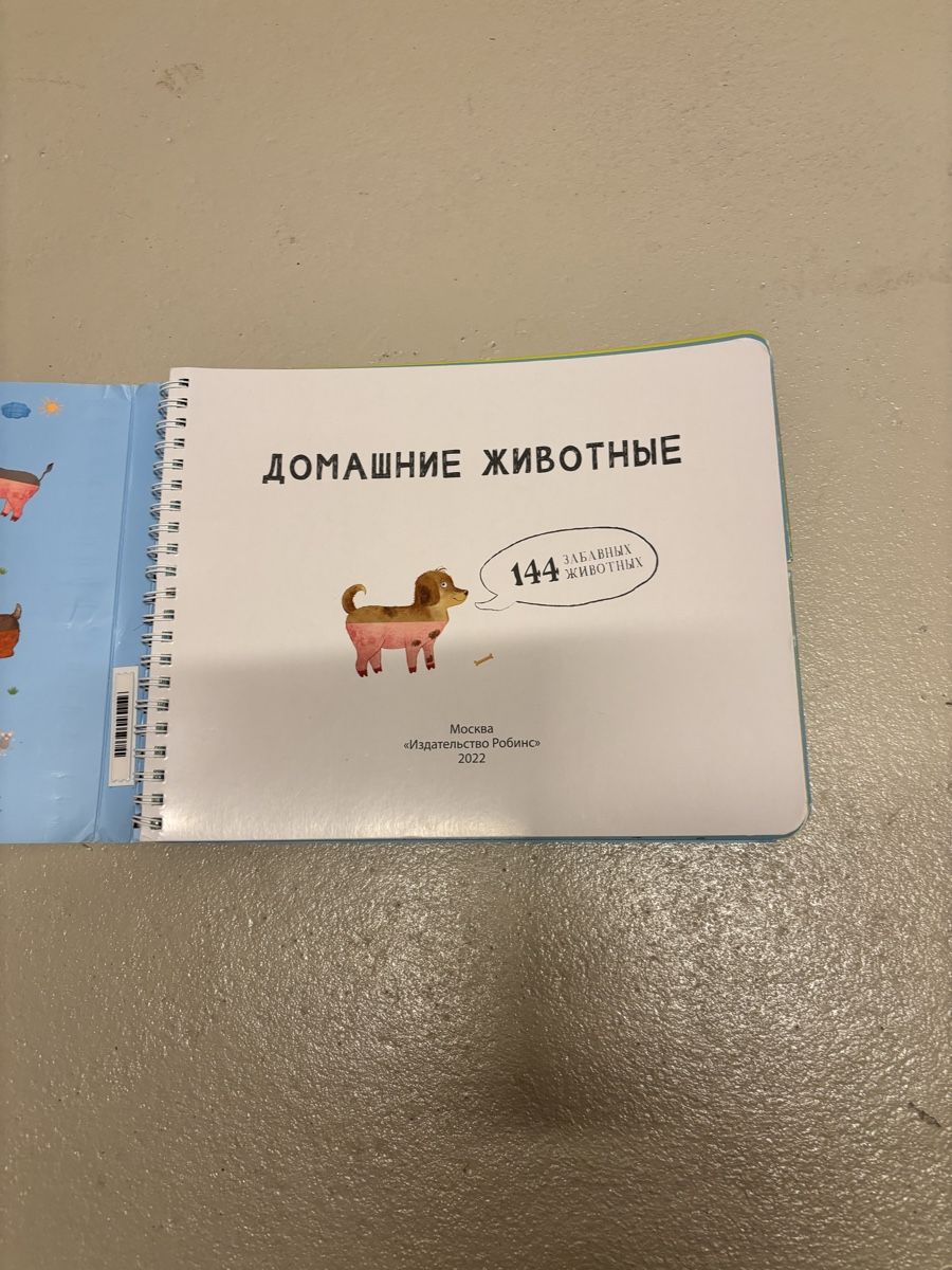 Libri: Kinderbuch auf Russisch – Usato da Zollikofen venduto da ale_w2sw 1