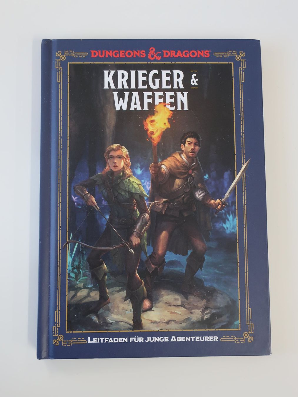 Libri: 4 Stück Dungeons & Dragons Handbücher – Usato da Volketswil venduto da brockipfannenstil 3