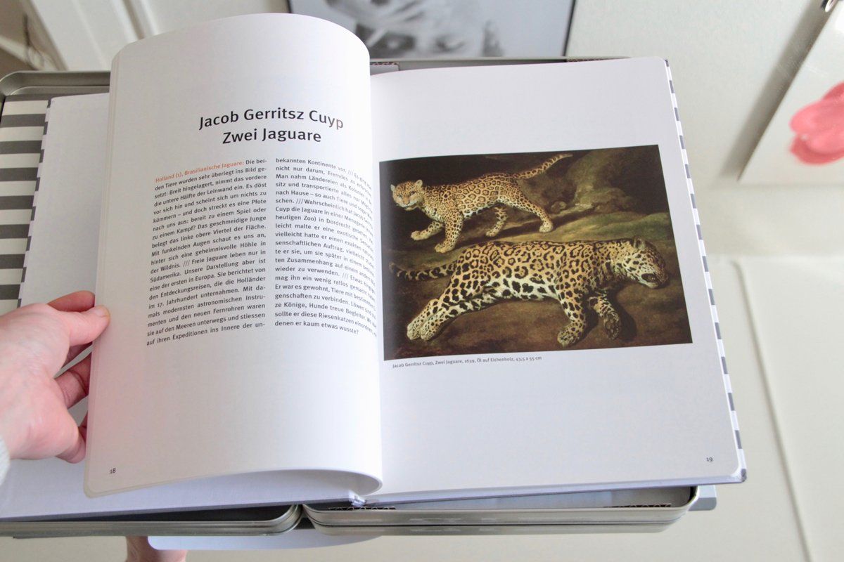 Libri: Kunstöffner Buch – Nuovo (secondo la descrizione) da Buchs AG venduto da shoplio 3