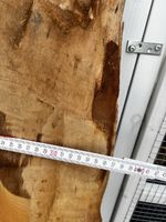 Kirschbaum Massivholzbrett mit Naturkante