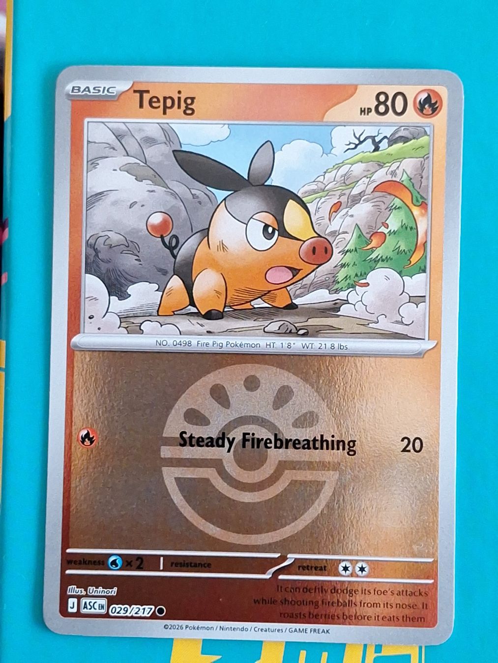 Pokémon Carte collezionabili: Tepig - Reverse Holo Ball - Pokemon Ascended Heroes – Usato da Altstätten SG venduto da GGsGameshop