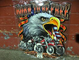 Born to be free route us 66 harley 1903