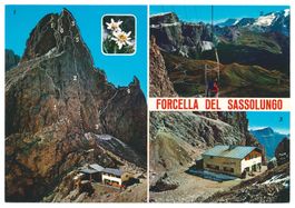 Val Gardena - Forcella del Sassolungo