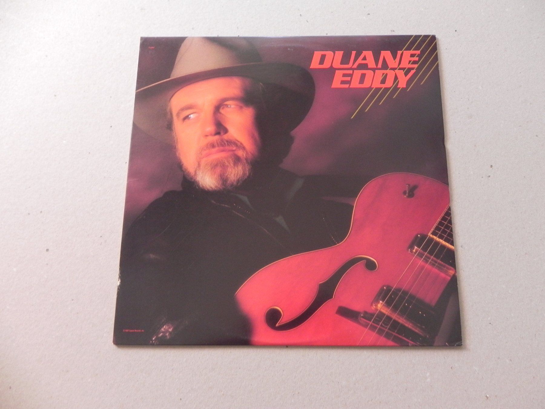 Dischi in vinile: LP USA Rock Duane Eddy 1987 The Rebels – Usato da Siebnen venduto da krimsie