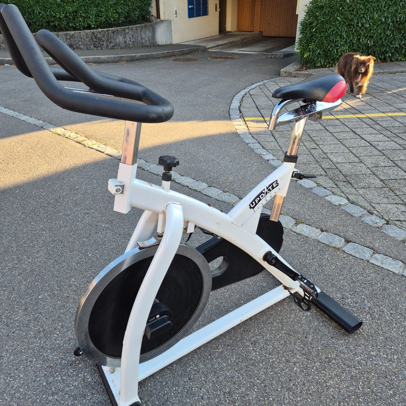 Hometrainer: Spinning Velo – Gebraucht aus Kloten von Wm4 3