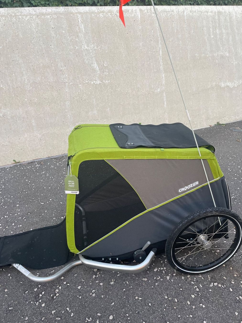 Croozer Rimorchi: Croozer Jokke – Usato da Forch venduto da ferdi.sch 8