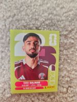 Carte Panini WM 2026