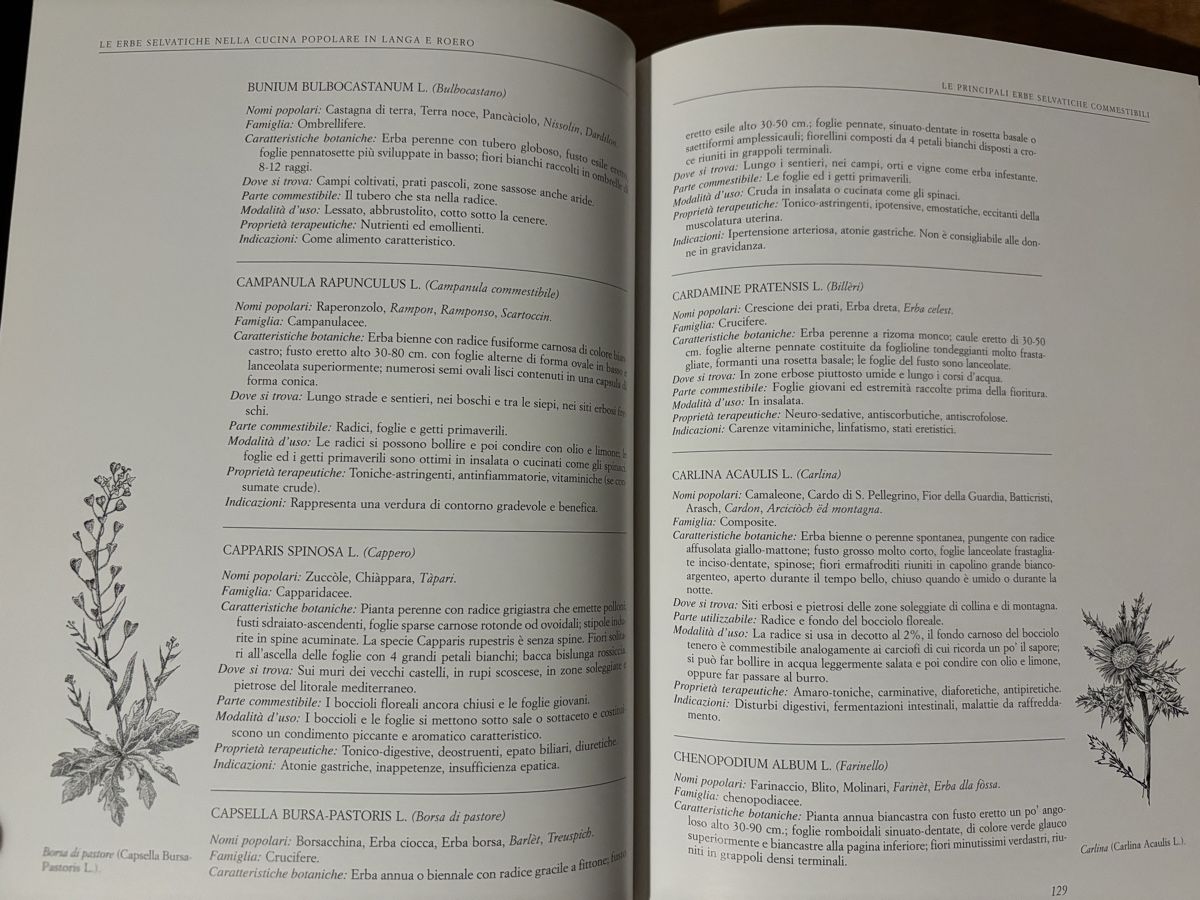 Libri: Il grande Libro della Cucina Albese – Usato da Zürich venduto da WWehrle 1