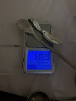 Fourchette et cuillère en argent 900 