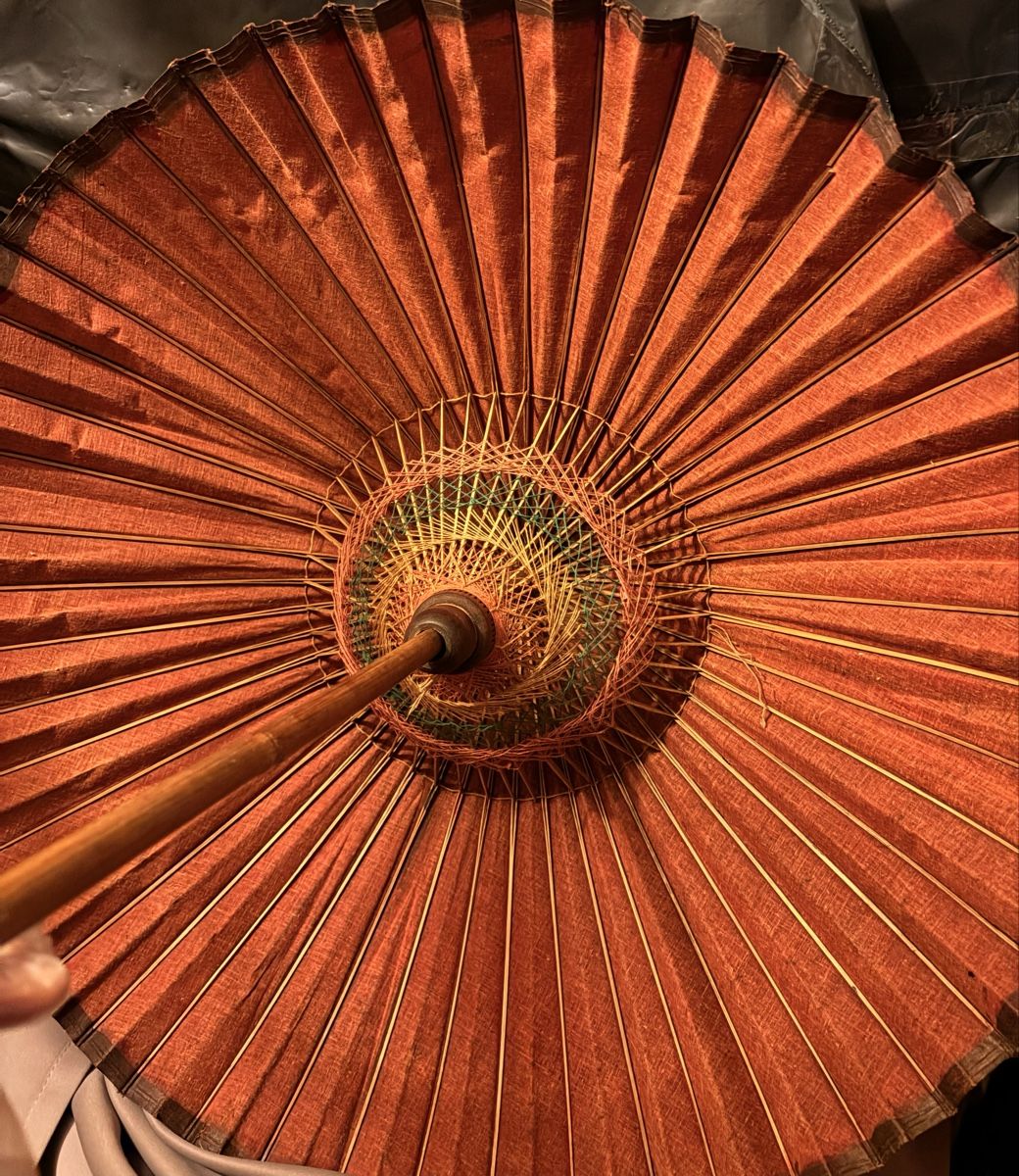 Regenschirme: Ancienne ombrelle, japonaise – Gebraucht aus Carouge GE von irma016 4