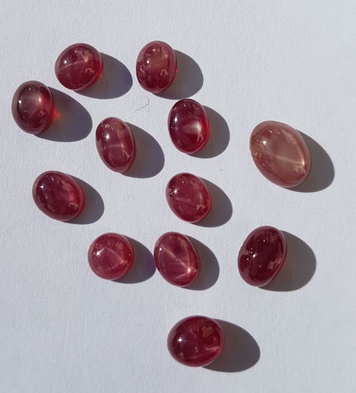 Pietre preziose: Rubin Oval 12.45ct – Nuovo e nell'imballaggio originale da zuerich venduto da Jewlsdesign 1