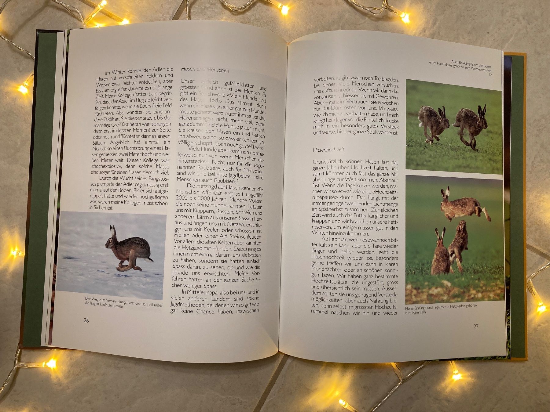 Libri: Ich bin ein HASE 🐇...  Silva-Buch / Osterhase – Nuovo (secondo la descrizione) da Neuenkirch venduto da LLUMMM 2