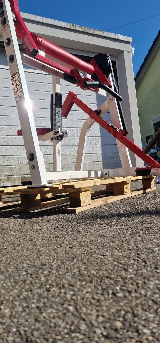 Hometrainer: Hammer Strength Bizepsmaschine – Usato da Aarau venduto da shq_869r 1
