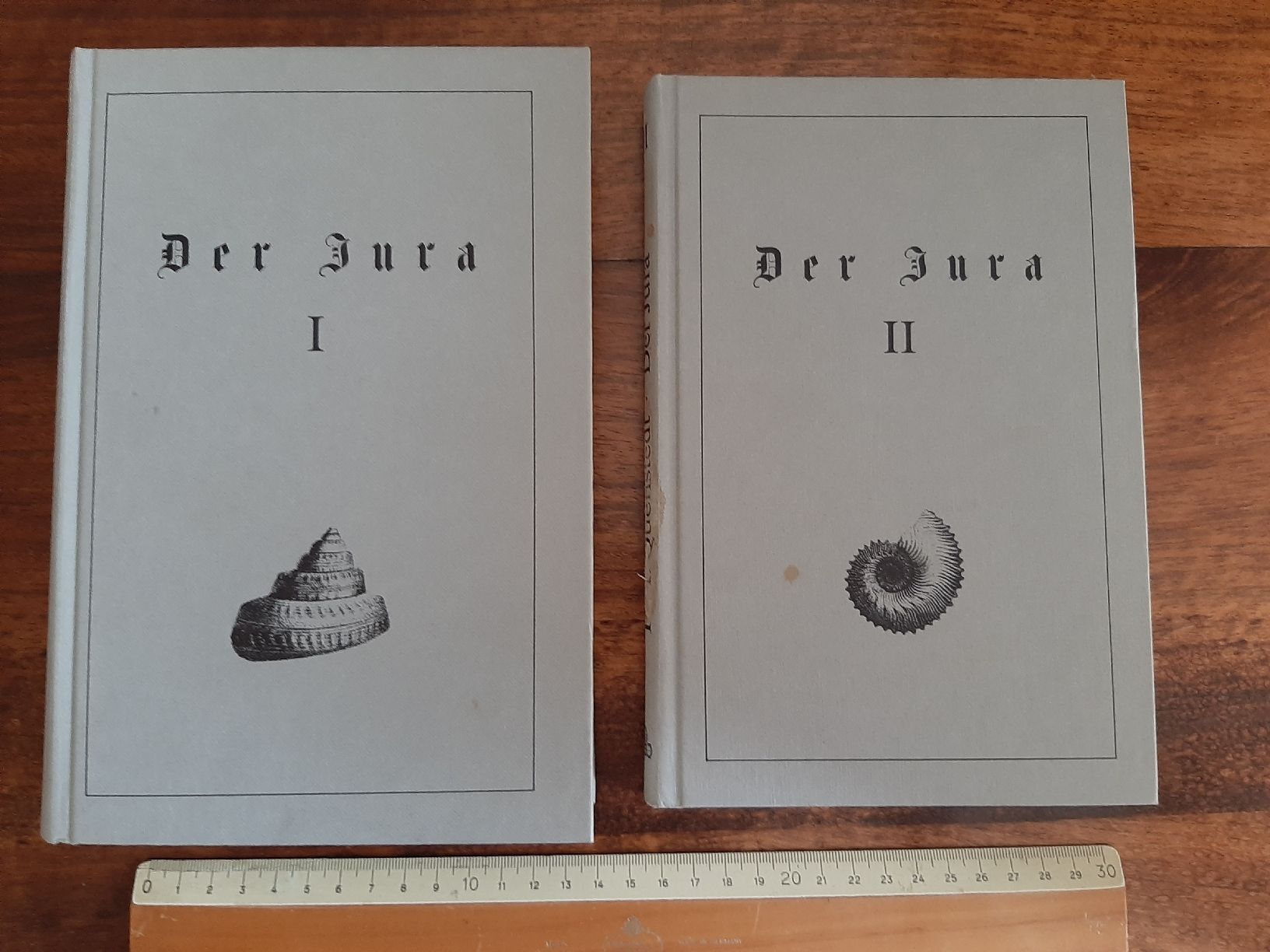 Libri: Fossilien Buch Der Jura – Usato da Rickenbach BL venduto da Oktober68