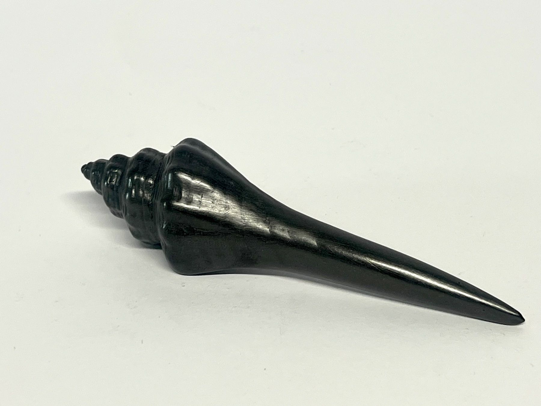 Fossili: BATLE STUDIO Small Shell Graphit-Schreibskulptur OVP – Usato da Zürich venduto da Arche_Brockenhaus