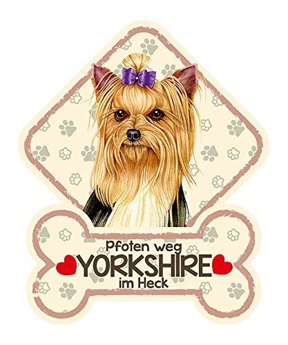 Insegne: Hundeschild mit Saugn.YORKSHIRE-PFTEN WE – Nuovo e nell'imballaggio originale da Rupperswil venduto da big-one-sale