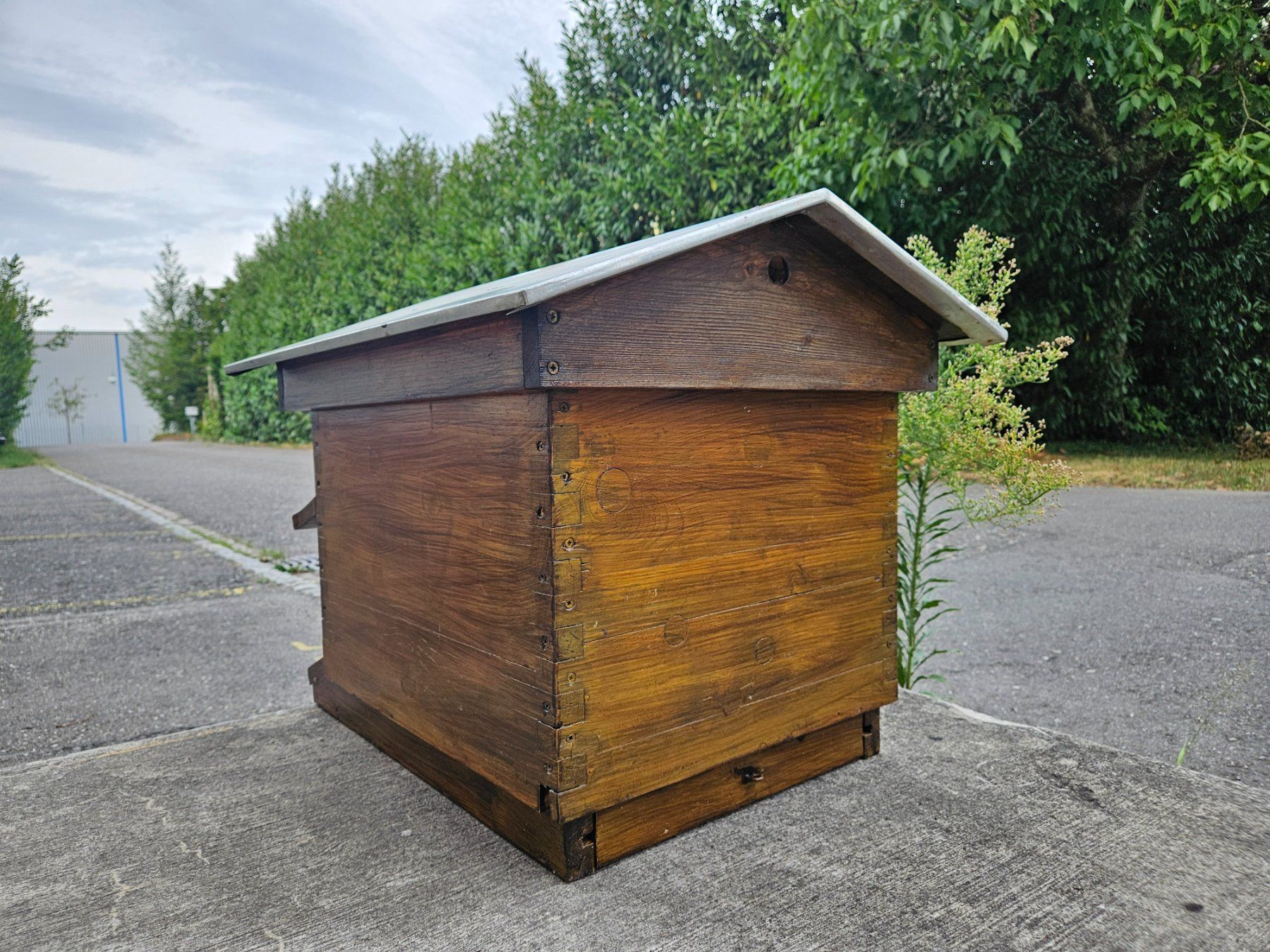 Alveari: Bienenbeute Dadant Blatt – Usato da Aarau venduto da ottisottis61 2