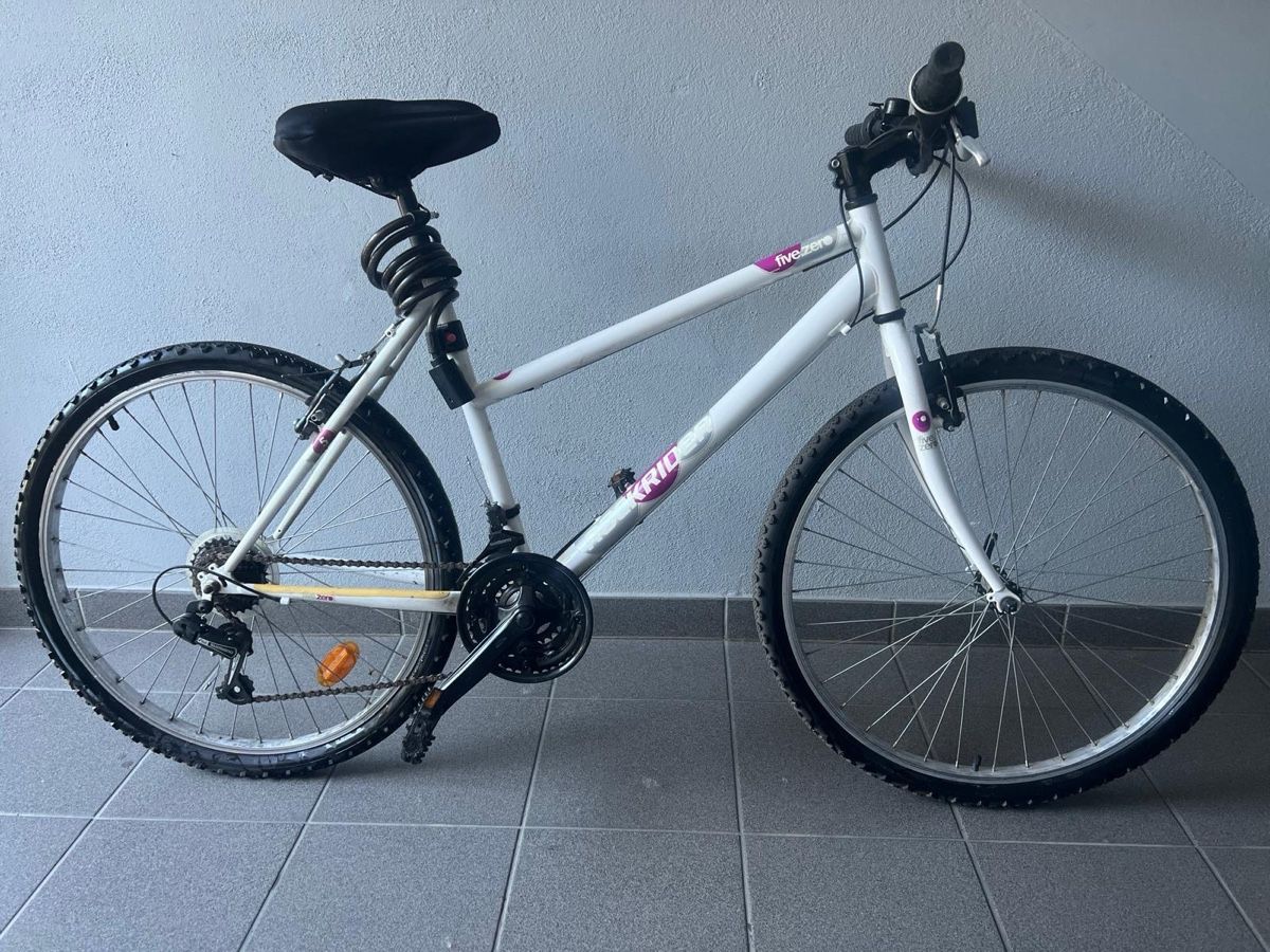 Biciclette: Vélo, idéal pour la ville! – Usato da Meyrin venduto da cak_5np9