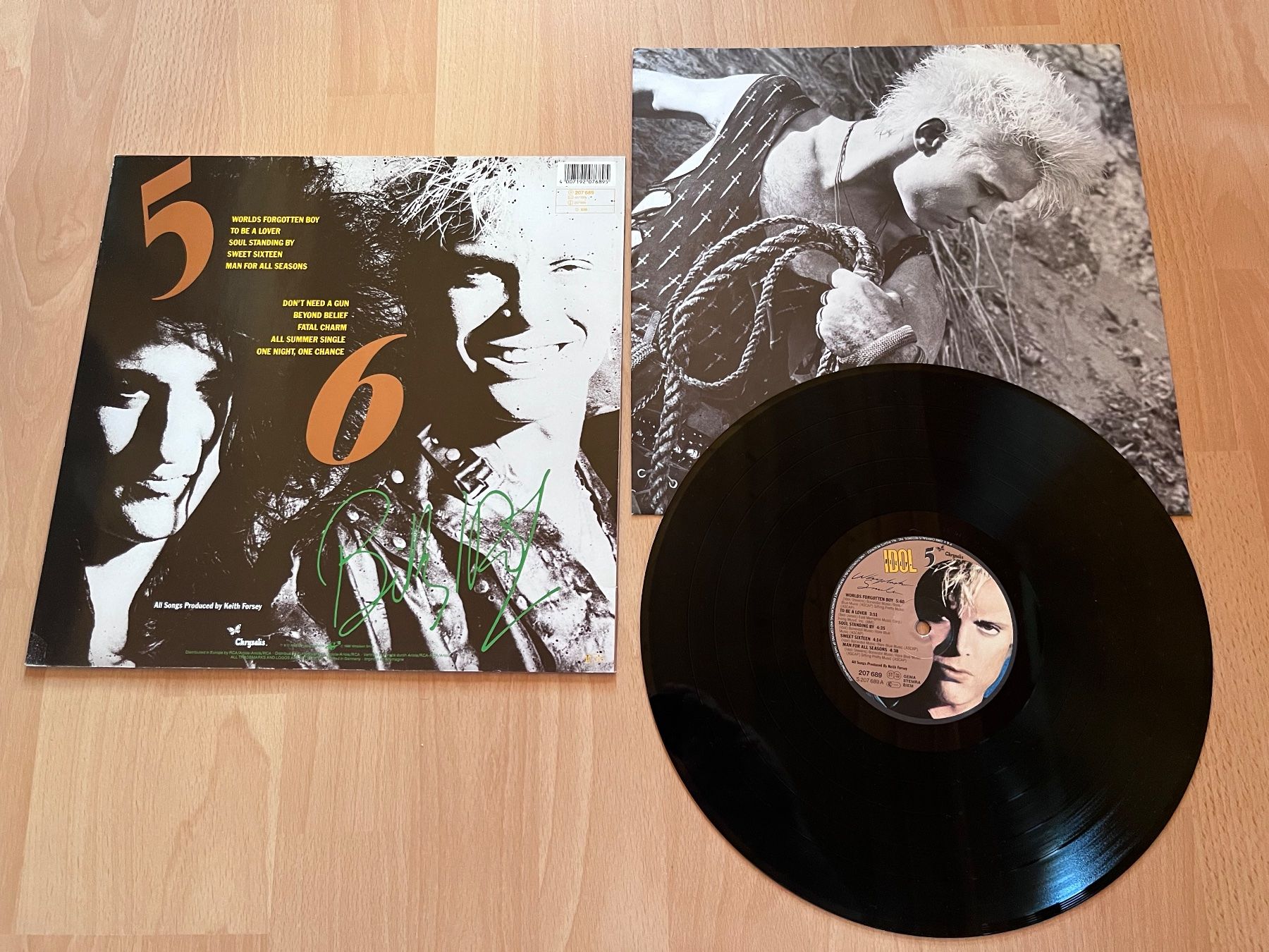 Dischi in vinile: Billy Idol - Wiplash Smile – Usato da Giebenach venduto da Wurlitzer70 1