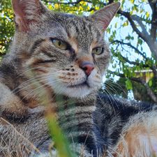 Profile image of simon.zeugin