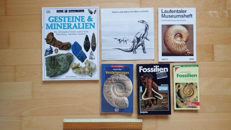 Bücher: Fossilien Bücher/Hefte – Gebraucht aus Rickenbach BL von Oktober68