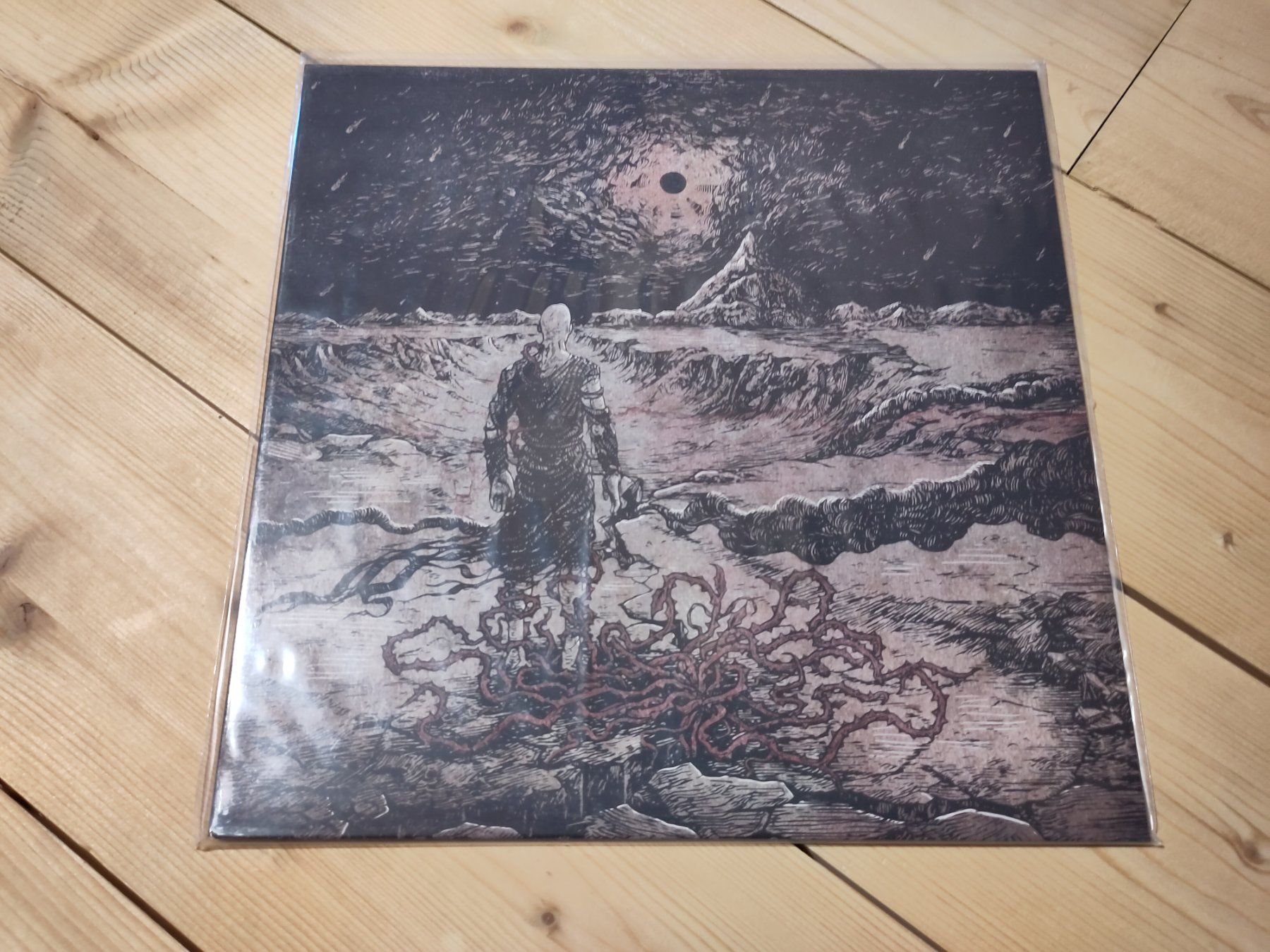 Dischi in vinile: Carpe Noctem - In Terra Profugus – Usato da Wasterkingen venduto da Palu17