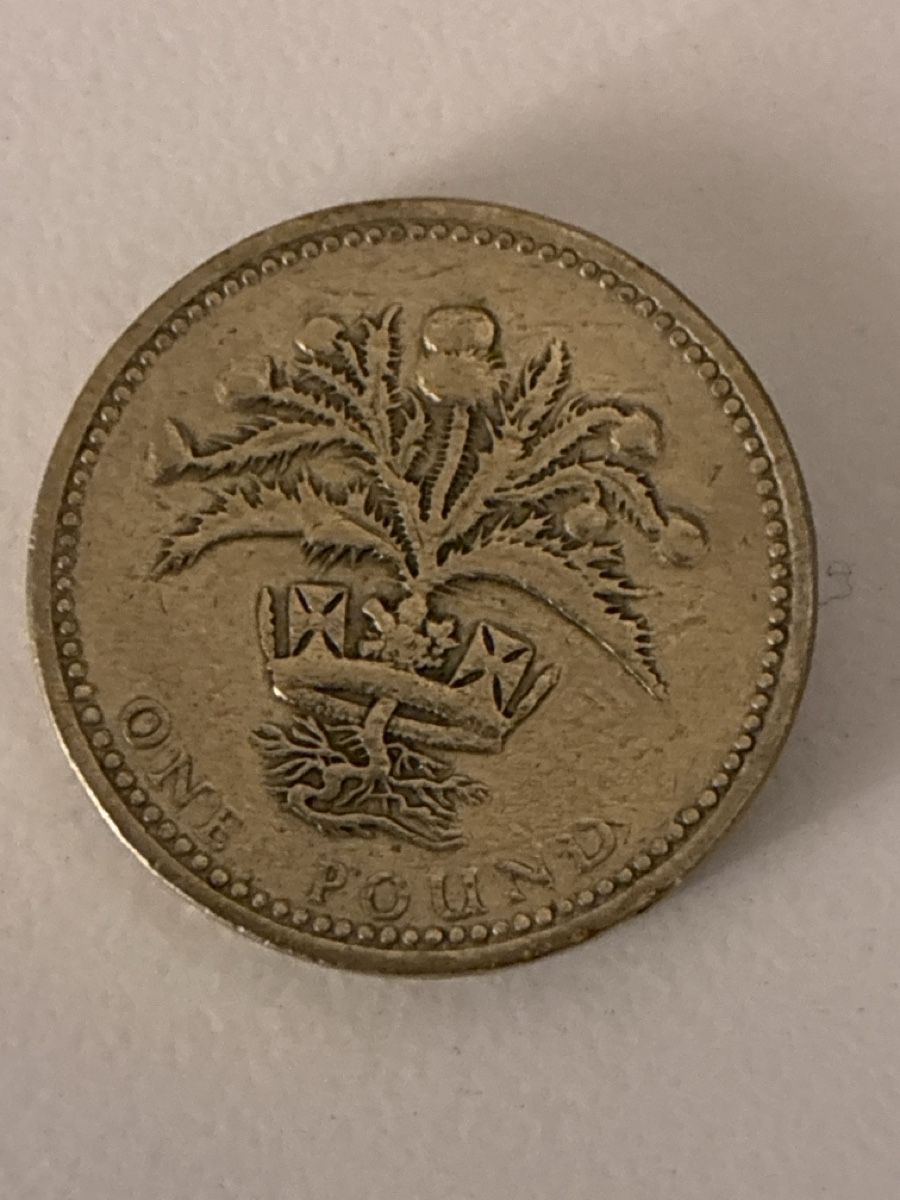 Tutti le monete: Nr. 75: 1 Pfund, britisches Pfund, 1989 – Usato da Burgdorf venduto da Yakari5165