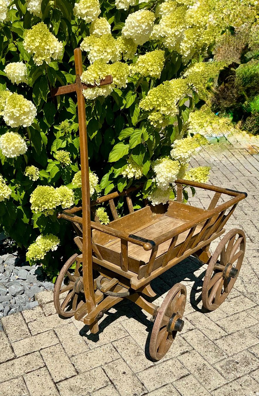 Carrelli di trasporto: ANTIKER LEITERWAGEN – Usato da Zell LU venduto da Silvermemory 2
