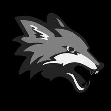 Profile image of Skyfox66