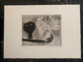 Wunderbarer Kupferstich - Silvia Vananderoye
