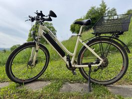 eBike Allegro Champion Speedbike 45km/h