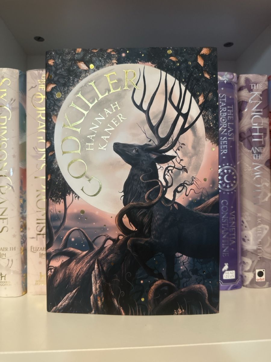 : Godkiller by Hannah Kaner Illumicrate – Usato da Chur venduto da cav_qqm5