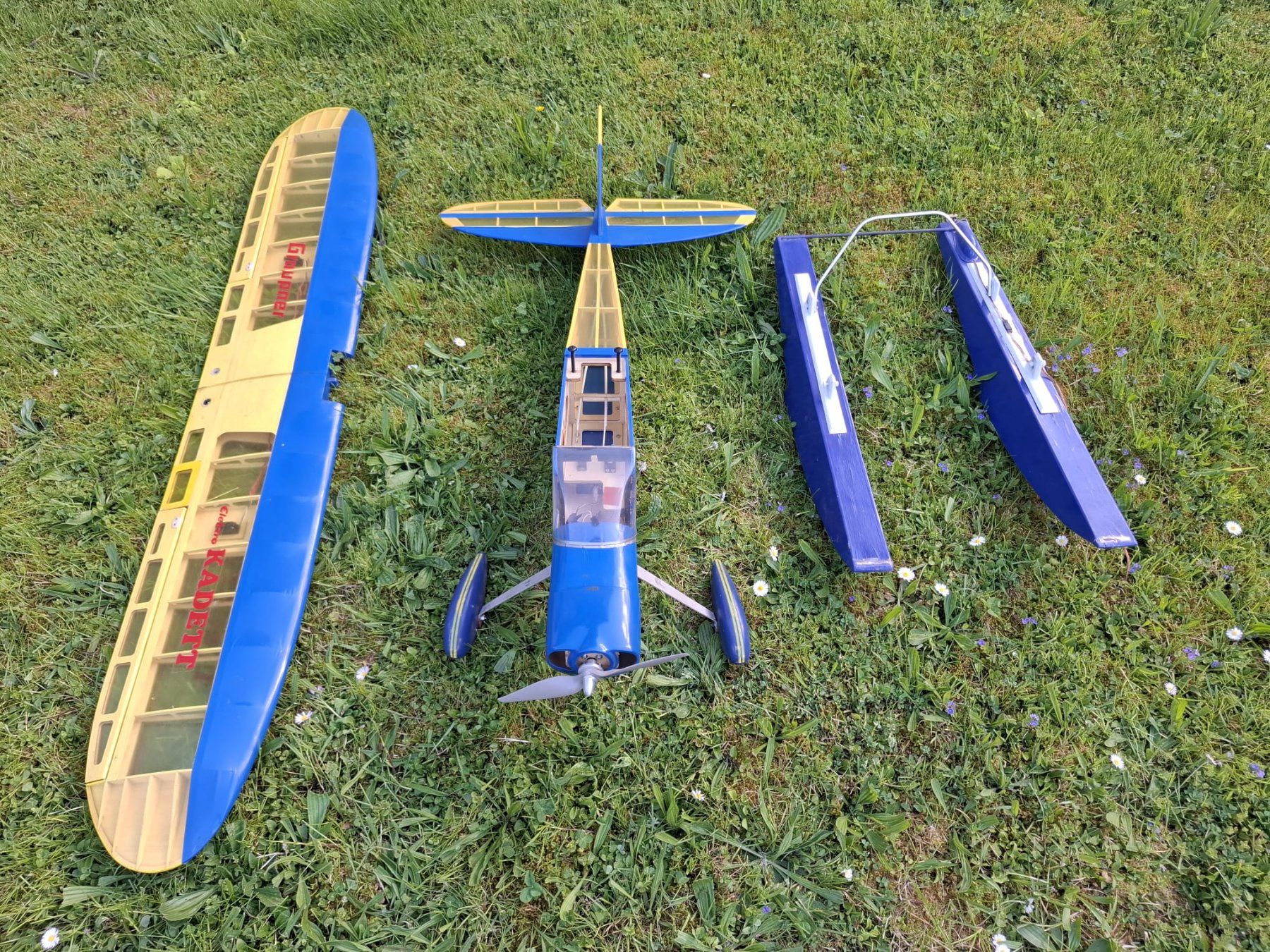 Graupner Modellismo RC: Graupner Kadett Spannweite 1600mm – Usato da Löhningen venduto da reto1999 4