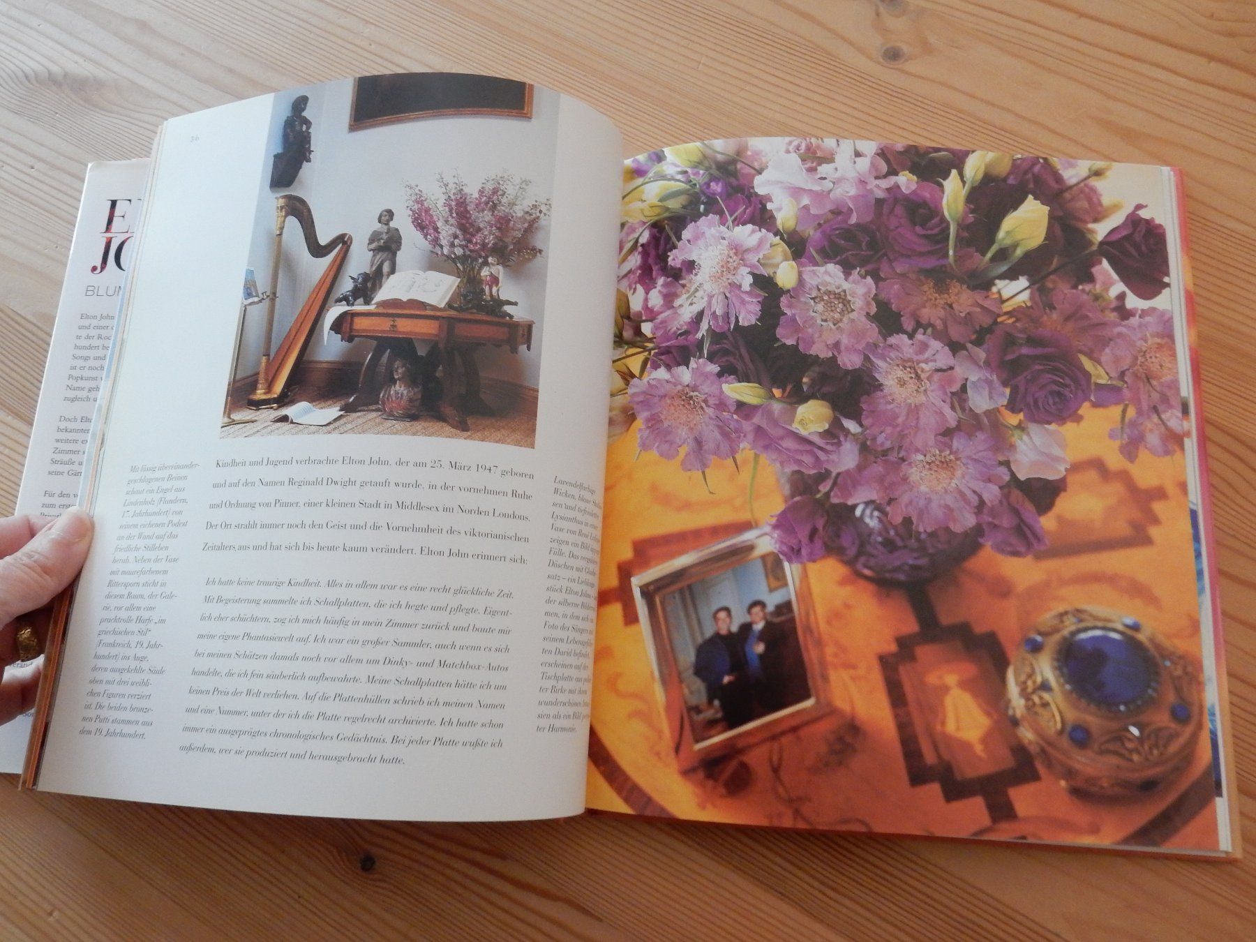 Libri: Buch Gartenbuch: Elton John's Blumenphantasien Interior – Usato da Jona venduto da JOberg_25 3