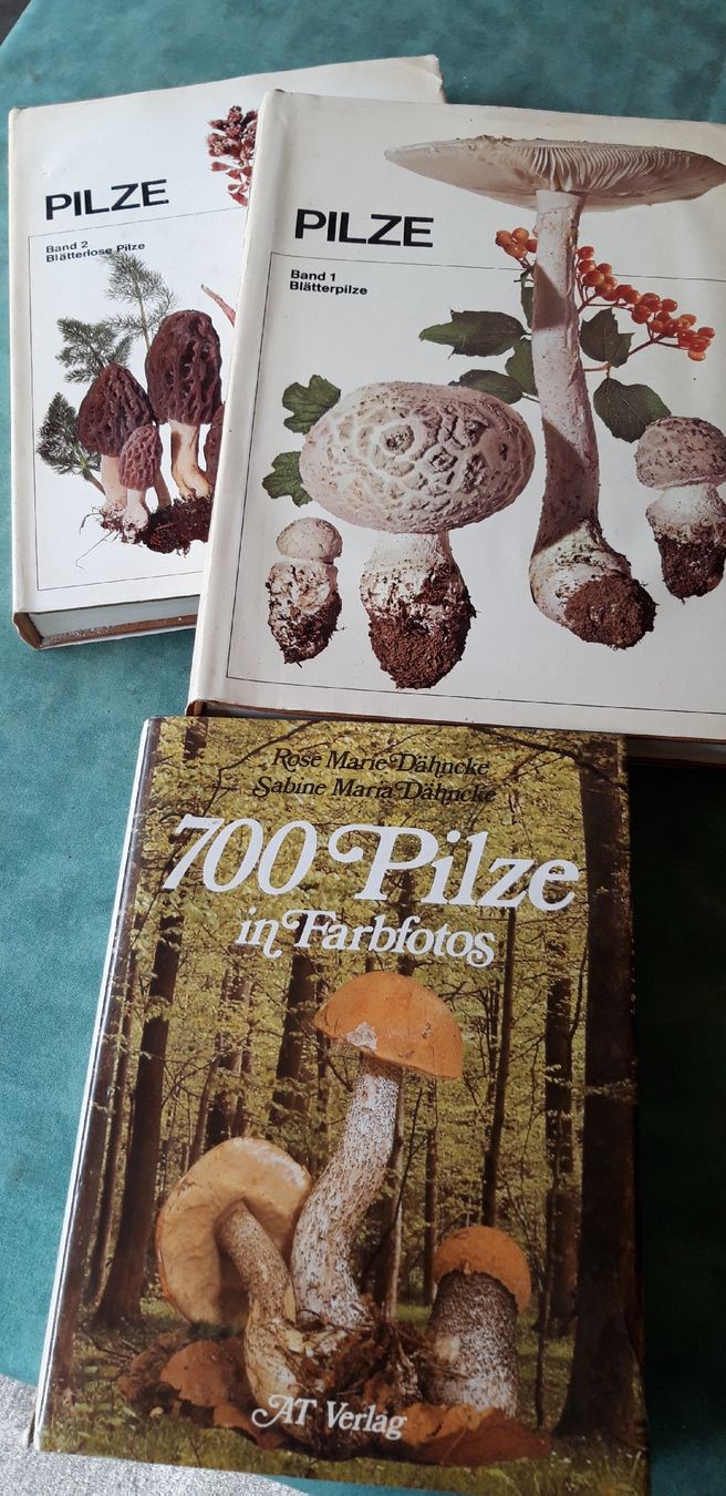 Livres: Pilze, 3 Bücher – D'occasion à Neuenhof par elRey123