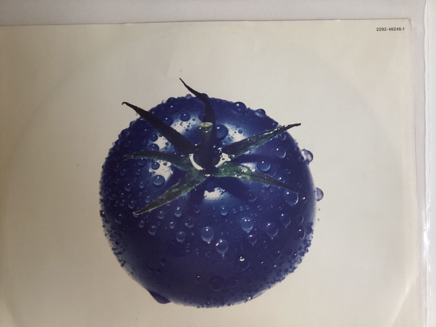 Dischi in vinile: The Creeps LP - Blue Tomato – Usato da Gutenswil venduto da Hamzian