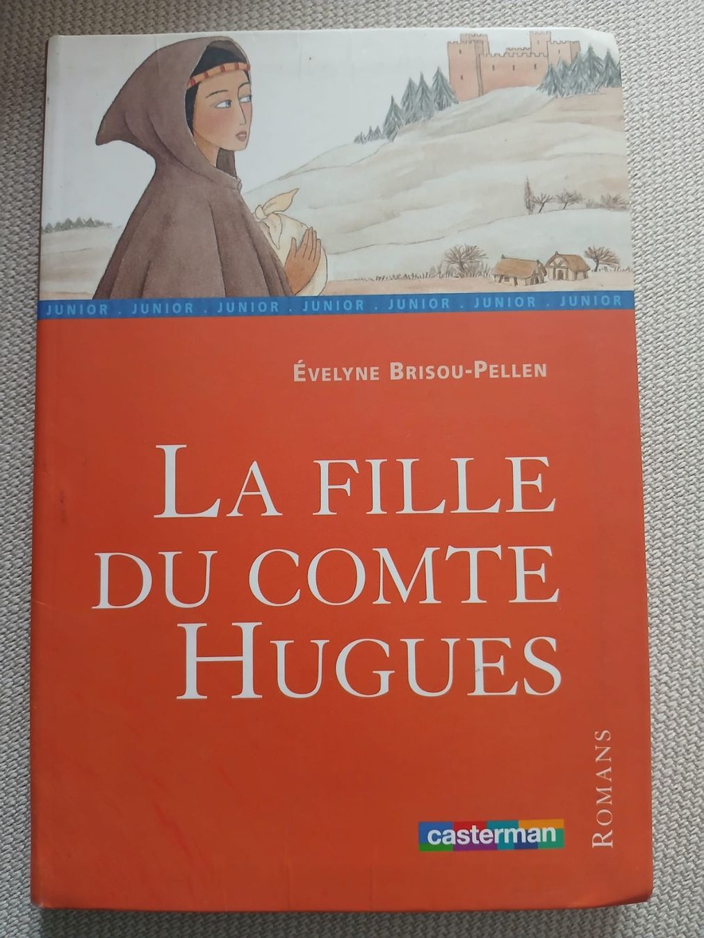 Libri: La Fille du Comte Hugues – Usato da Ostermundigen venduto da bow_v8w9