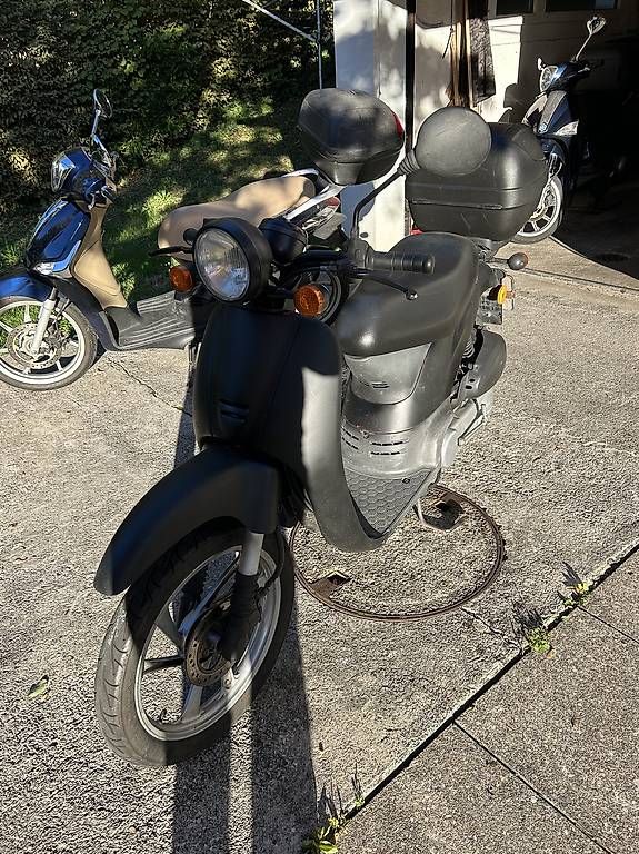 Honda Scooters: Honda SGX Sky 50 – Gebraucht aus Zumikon von pangst 1