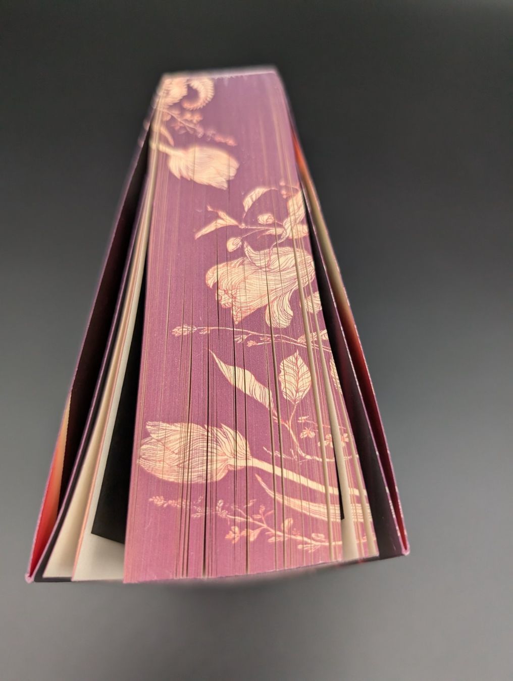 Libri: D.C. Odesza: Dark Gleam Castle – Usato da Wiezikon b.Sirnach venduto da CaRo_Second 4