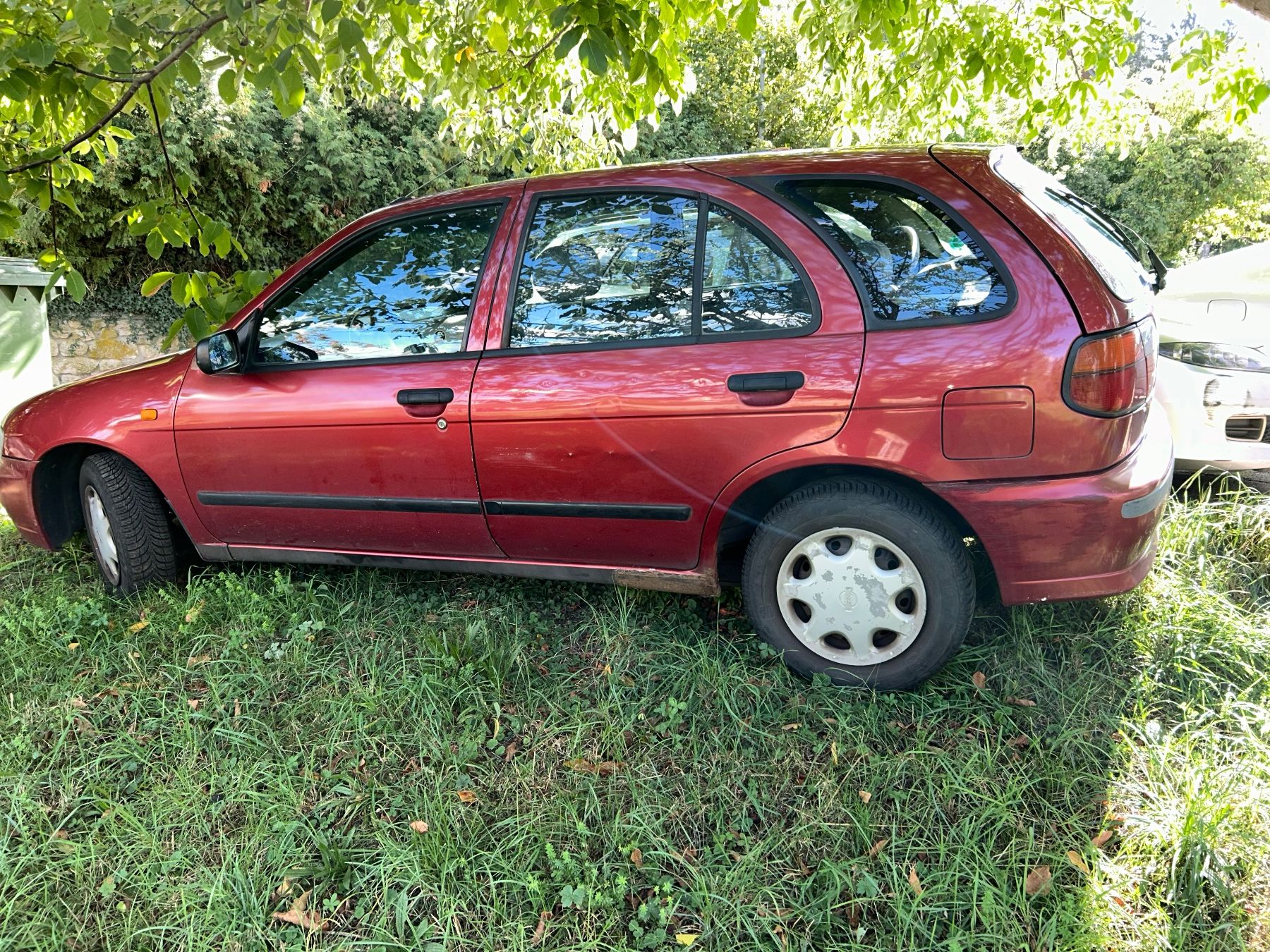 Nissan Automobili: Nissan Almeta 1,4 – Usato da Regensdorf venduto da Nyffi7 1