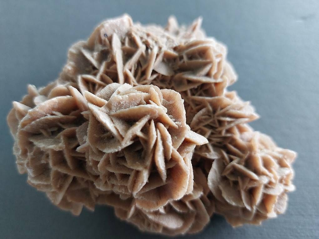 Mineralien & Heilsteine: Rose des sables du Sahara tunisien  – Gebraucht aus Martigny von paquito60 4
